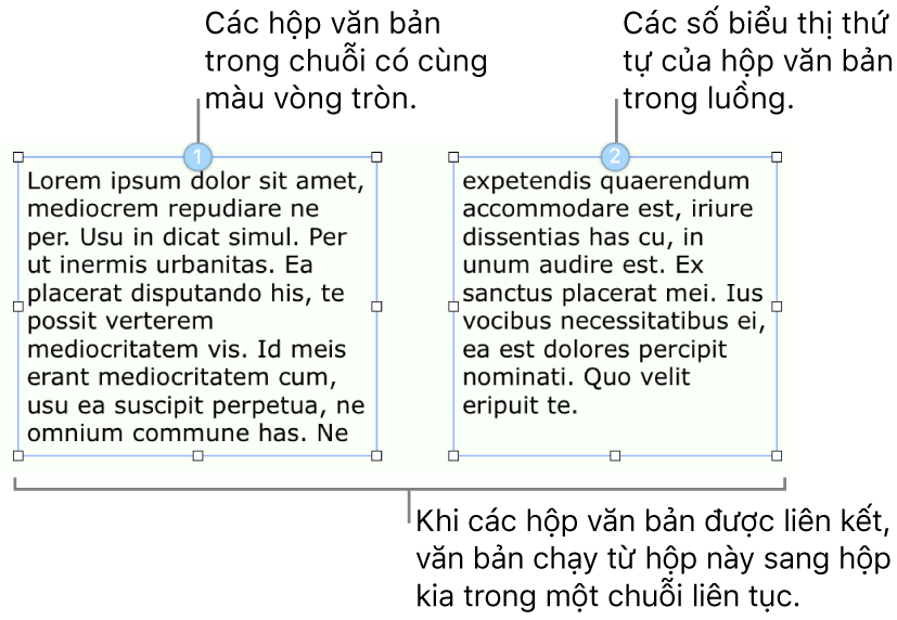 Hai hộp văn bản có vòng tròn màu lam ở trên đầu và các số 1 và 2 trong vòng tròn.