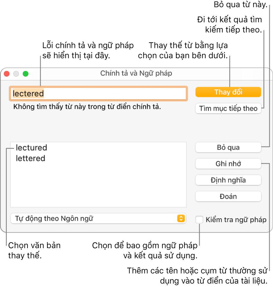 Cửa sổ Chính tả và ngữ pháp.