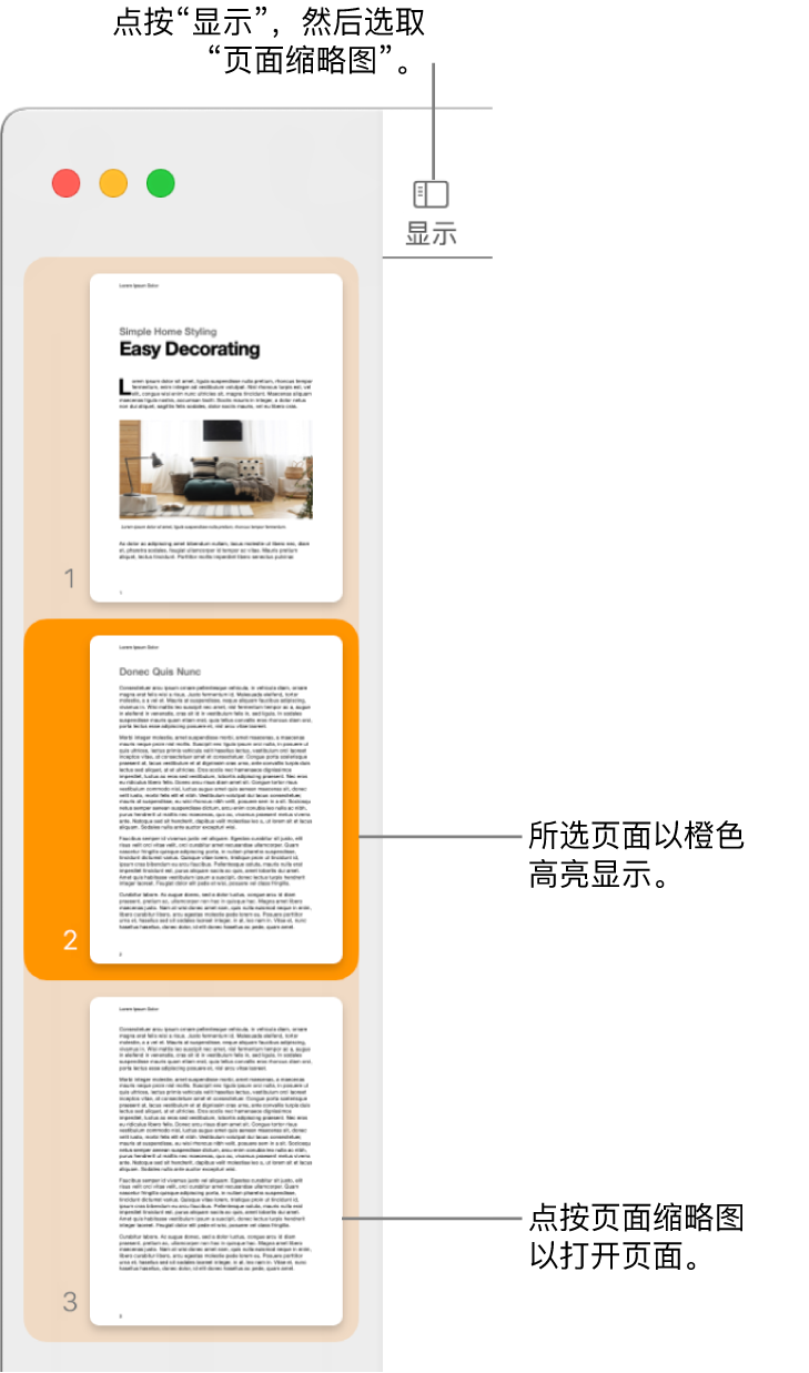 Pages 文稿窗口左侧的边栏中“页面缩略图”视图已打开，所选页面高亮显示为深橙色。