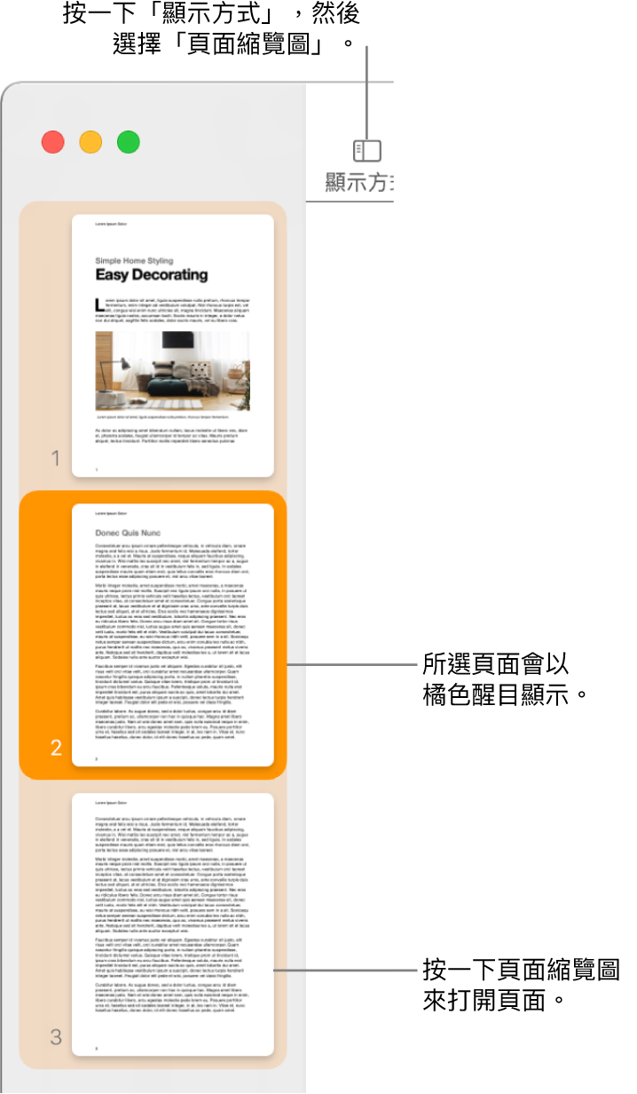 Pages 視窗左側的側邊欄中打開了「頁面縮覽圖」顯示方式，所選擇的頁面以深橘色反白顯示。