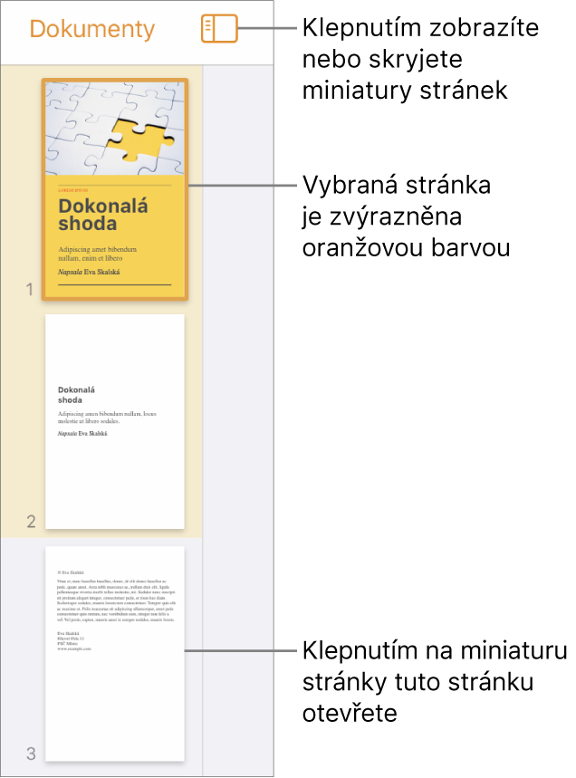 Panel s miniaturami stránek na levé straně obrazovky s oddílem s dvojstránkou, oddělovačem a jednou stránkou z dalšího oddílu. Nad miniaturami je tlačítko Zobrazit