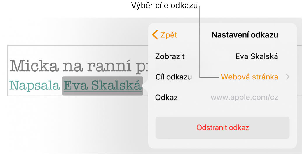 Ovládací prvky Nastavení odkazu s polem Zobrazit, volbou Cíl odkazu (s nastavením Webová stránka) a s polem Odkaz. Ve spodní části ovládacích prvků se nachází tlačítko Odstranit odkaz.