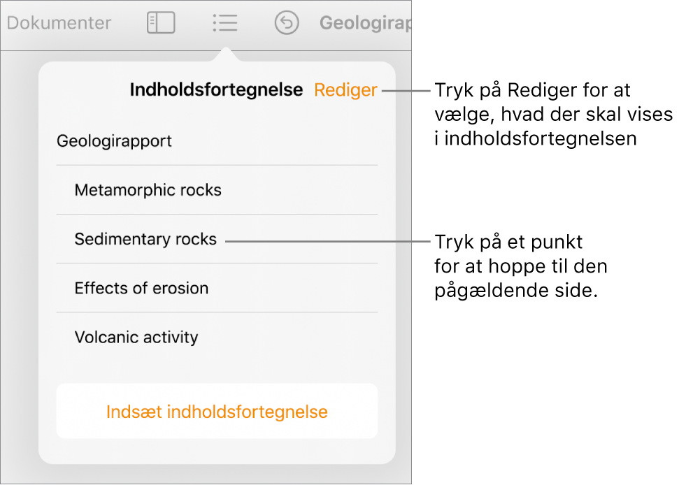 Oversigten med en liste over punkter i indholdsfortegnelsen. Knappen Rediger findes i øverste højre hjørne af oversigten.