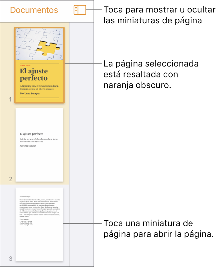 La visualización de miniaturas de página en el lado izquierdo de la pantalla con una sección de dos páginas, una línea separadora y luego una página de la siguiente sección. El botón Visualización está arriba de las miniaturas.