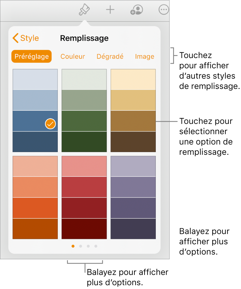 Options de remplissage de l’onglet Style du bouton Format.