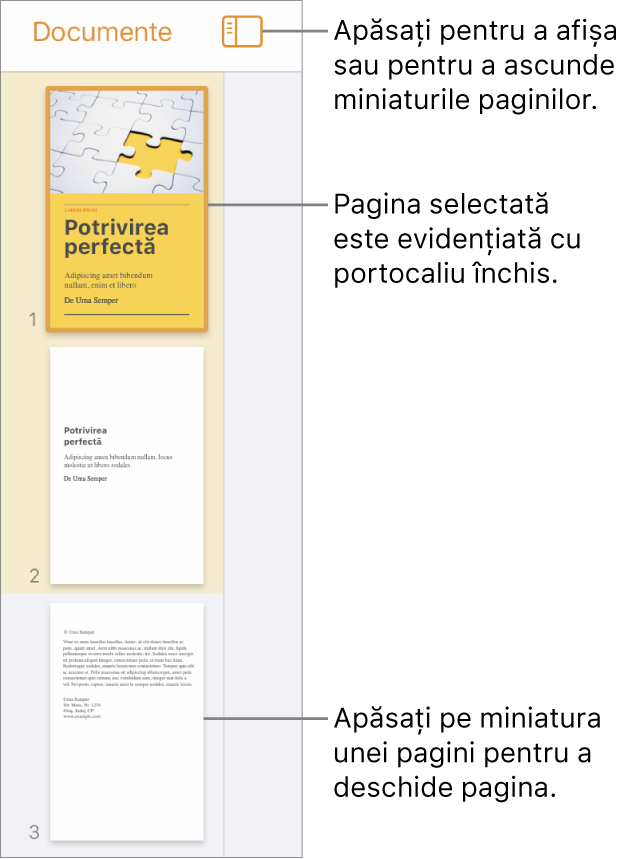 Vizualizarea Miniaturi pagini în partea stângă a ecranului, având selectată o pagină. Butonul Opțiuni de afișare se află deasupra miniaturilor.