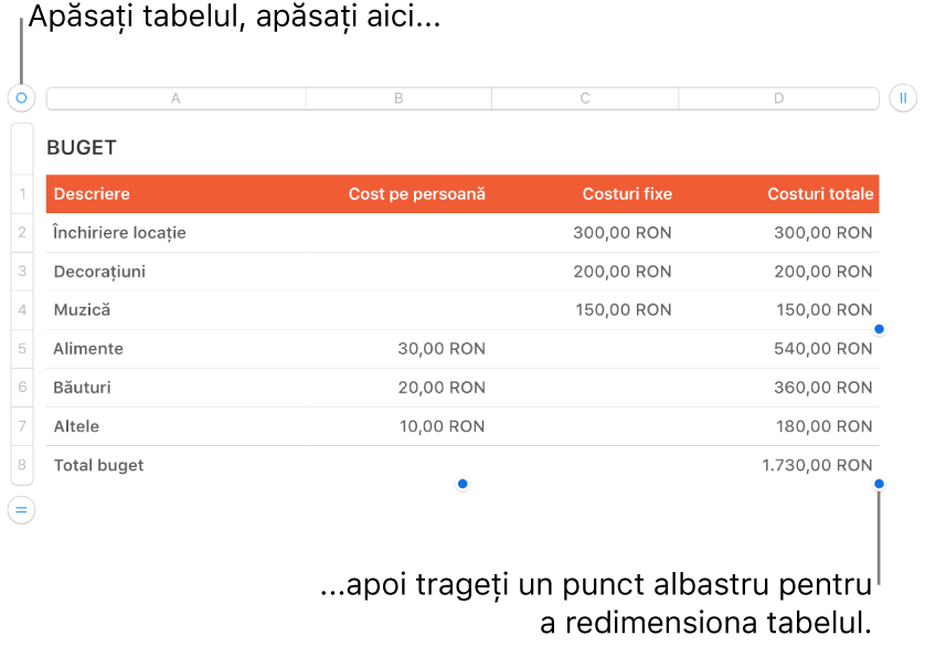 Un tabel selectat, cu puncte albastre pentru redimensionare.