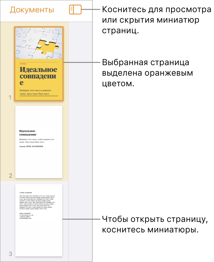 Панель «Миниатюры страниц» в левой части экрана. Показаны: раздел, состоящий из двух страниц, разделительная линия и одна страница следующего раздела. Кнопка «Вид» расположена над миниатюрами.