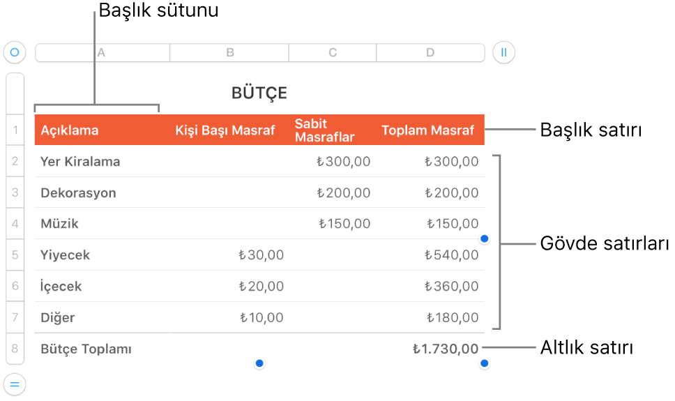 Başlık, gövde ve dipnot satırlarını ve sütunlarını gösteren bir tablo.