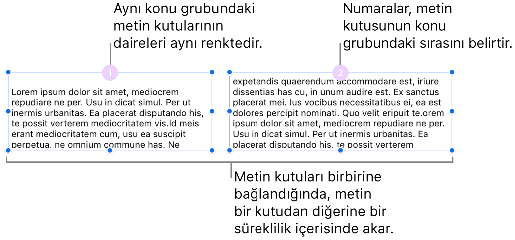 En üstte içinde 1 ve 2 sayıları olan mor daireli iki metin kutusu.