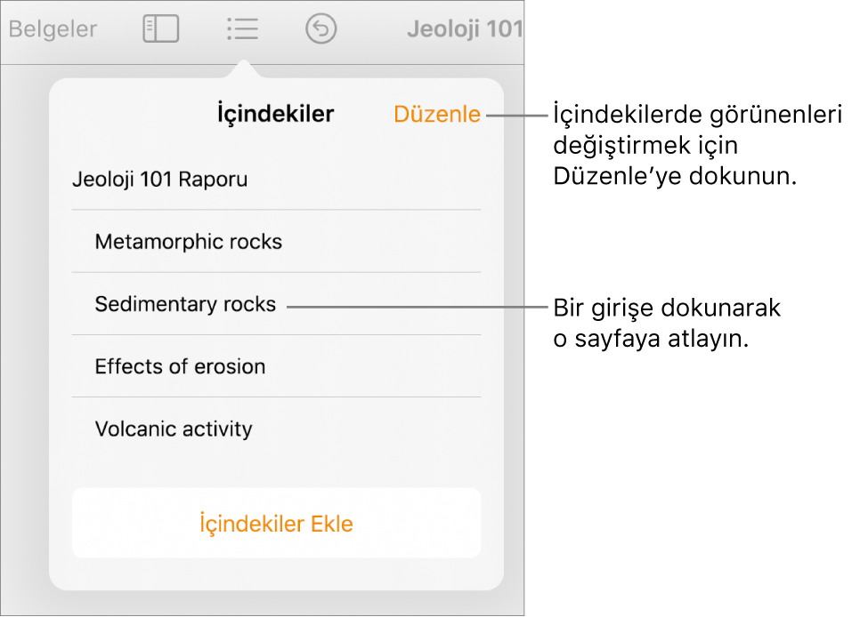 Listedeki girişlerle birlikte içindekiler görüntüsü. Düzenle düğmesi, görüntünün sağ üst köşesindedir.