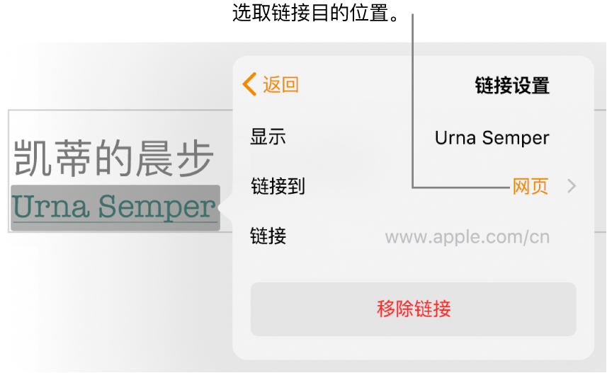 “链接设置”控制，其中包括“显示”栏、“链接至”（设为“网页”）和“链接”栏。“移除链接”按钮位于控制底部。