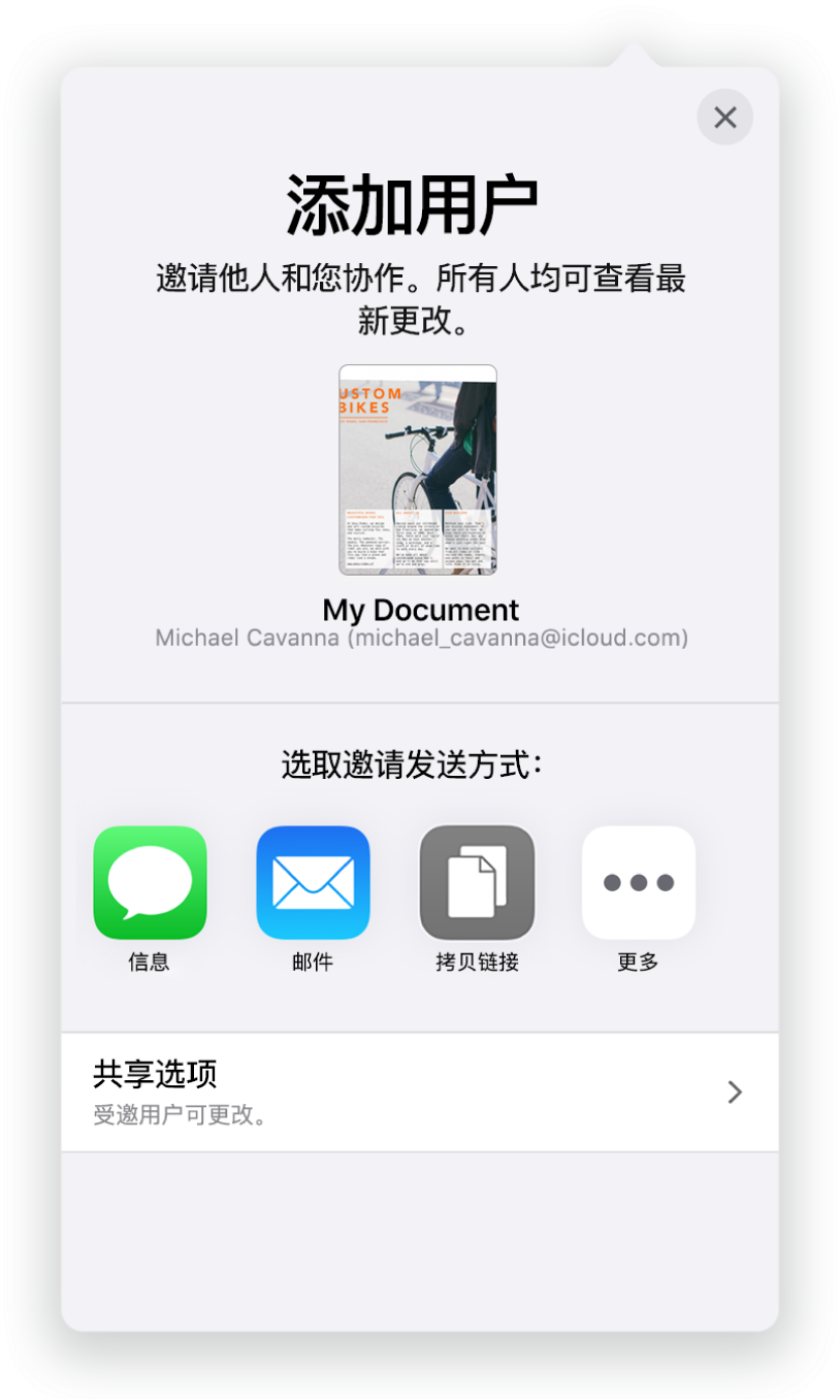 “添加用户”屏幕,显示要共享文稿的图像。其下方是邀请发送方式的按钮,包括“邮件”和“拷贝链接”等。底部是“共享选项”按钮。