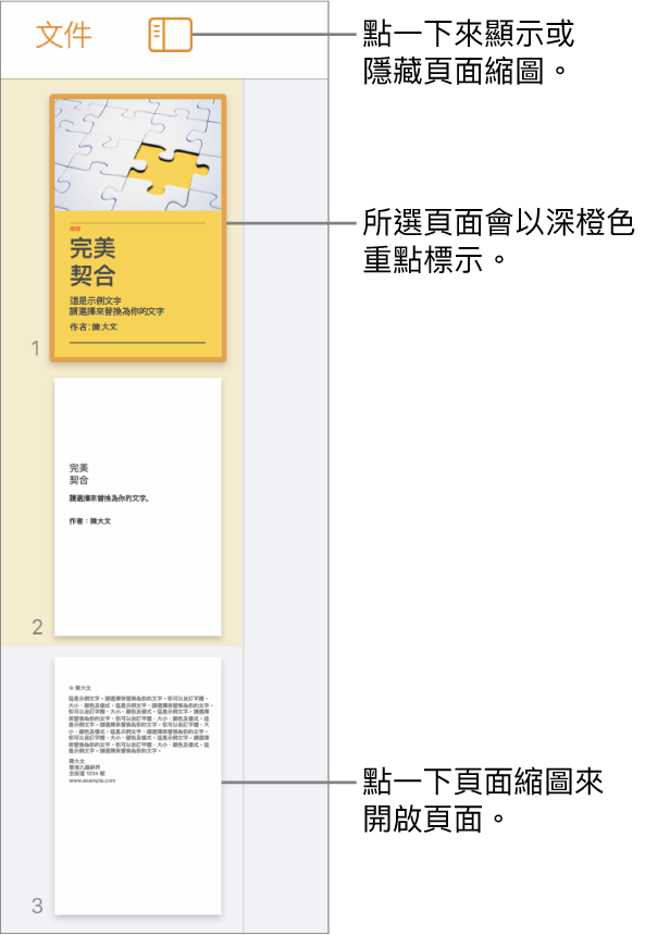 畫面左側的「頁面縮圖」顯示方式，顯示兩頁的章節、分隔線，以及下一個章節的一頁。「顯示方式」按鈕位於縮圖上方。