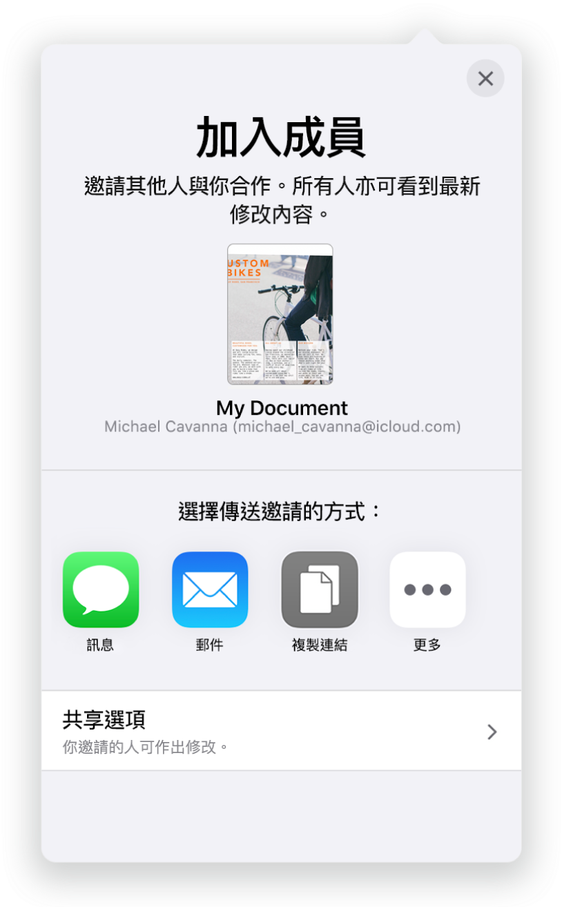 「加入成員」畫面顯示要共享文件的圖片。其下方為傳送邀請的方式，包括「郵件」、「複製連結」等等。最下方是「分享選項」按鈕。