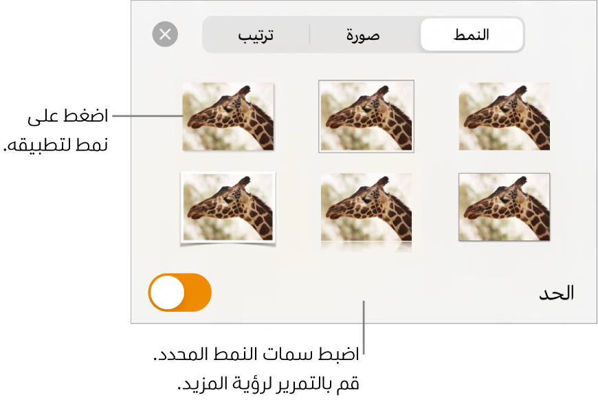 علامة تبويب النمط من قائمة التنسيق مع أنماط الكائنات في الجزء العلوي وعنصر تحكم أدناها لتغيير الحدود.