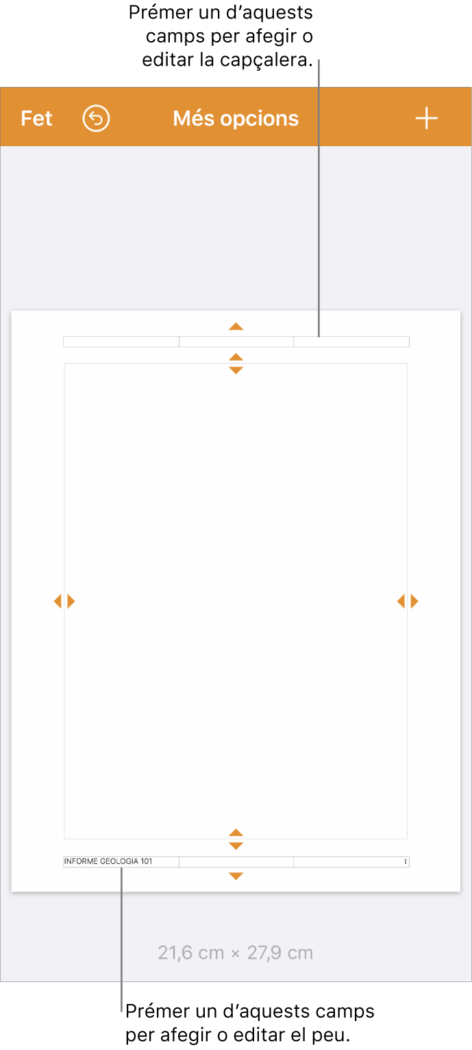 La vista “Més opcions” amb tres camps a la part superior del document per a les capçaleres i tres camps a la part inferior per als peus de pàgina.