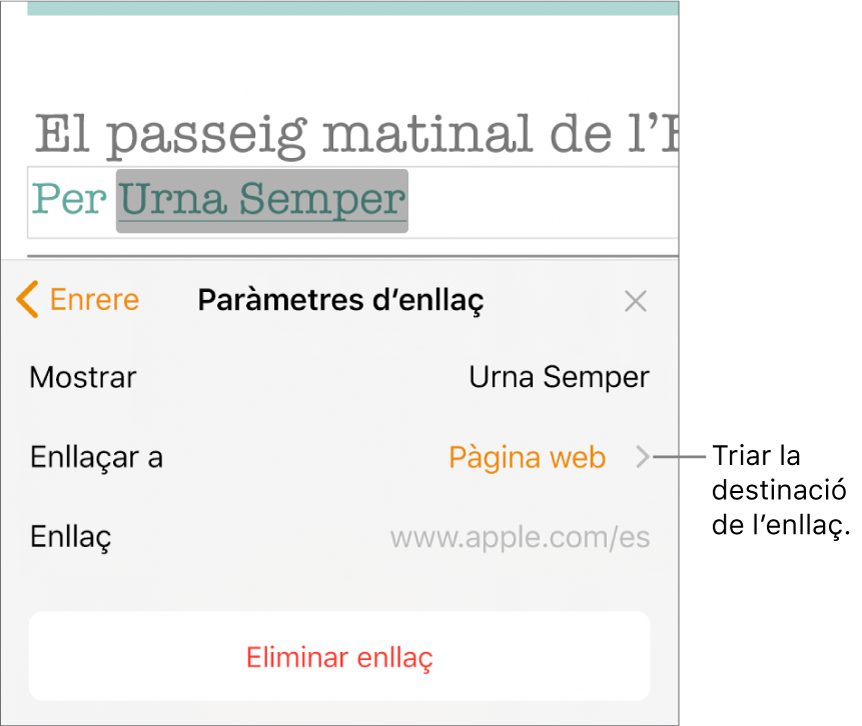 Els controls “Paràmetres d’enllaç” amb els camps Mostrar, “Enllaçar a” (definit com a pàgina web) i Enllaç. El botó “Eliminar enllaç” a la part inferior dels controls.