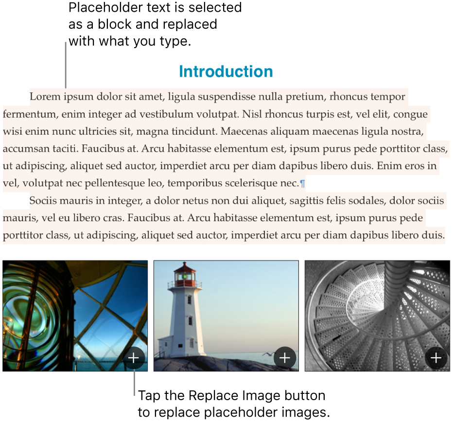 Placeholder text and images.