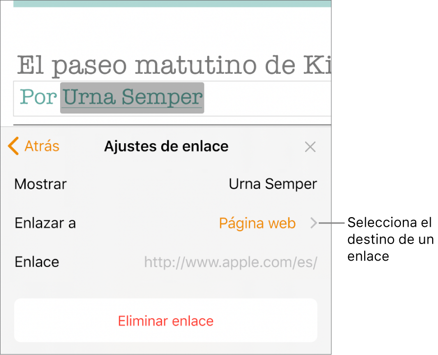 Los controles de “Ajustes de enlace” con un campo Mostrar, “Enlazar a” (ajustado a “Página web”) y Enlace. Al final de los controles aparece el botón “Eliminar enlace”.