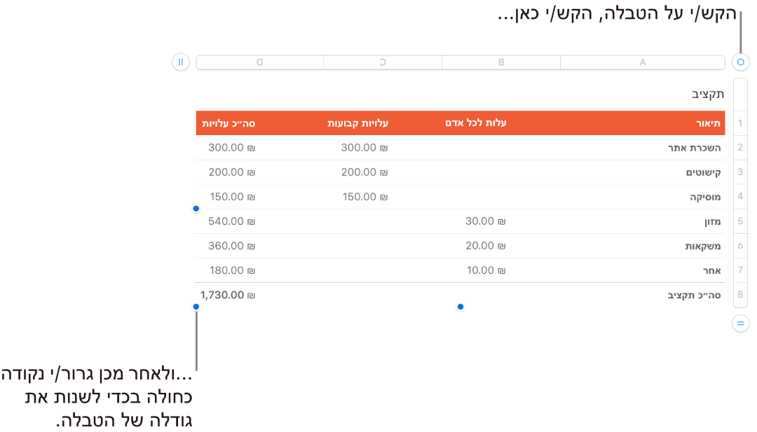 טבלה שנבחרה, עם נקודות כחולות לשינוי גודל.