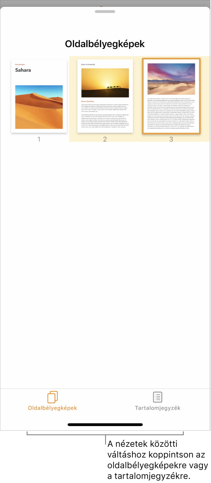Az Oldalbélyegképek nézete az egyes oldalakhoz tartozó oldalbélyegképekkel. Az Oldalbélyegképek gomb és a Tartalomjegyzék gomb a képernyő alján található.