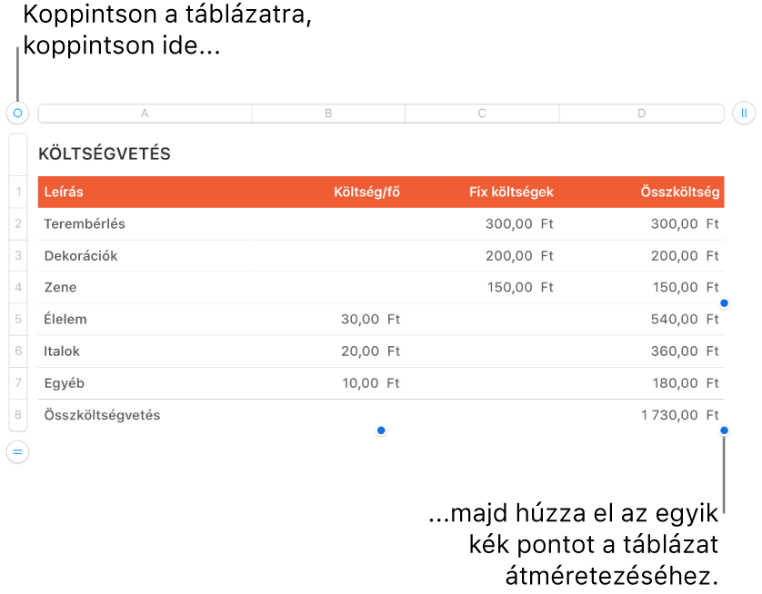 Kijelölt táblázat, átméretezésre szolgáló kék pontokkal.