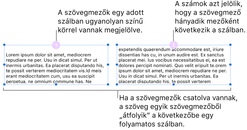 Két szövegmező a tetejükön lila körökkel, a körökben pedig az 1 és 2 számmal.