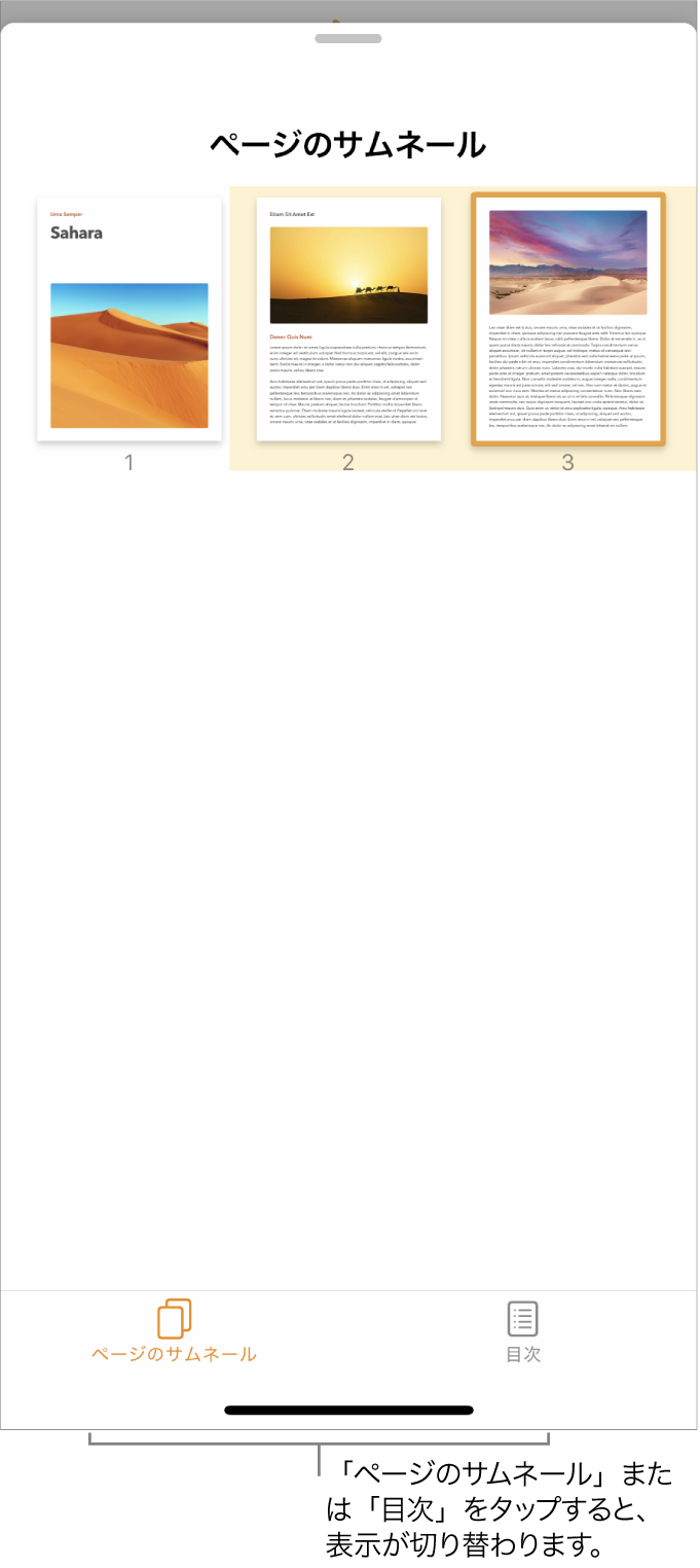 ページのサムネール表示。各ページのサムネール画像が表示されています。画面下部に「ページのサムネール」ボタンと「目次」ボタンが表示されます。