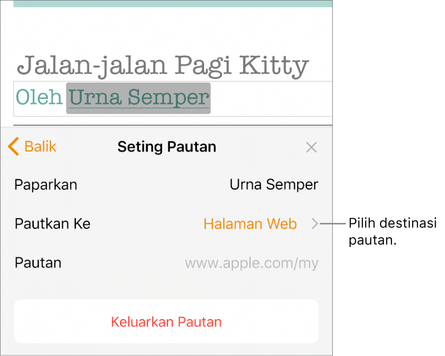 Kawalan Seting Pautan dengan medan Paparan, Pautan Ke (disetkan ke Halaman Web) dan medan Pautan. Butang Keluarkan Pautan berada di bahagian bawah kawalan.