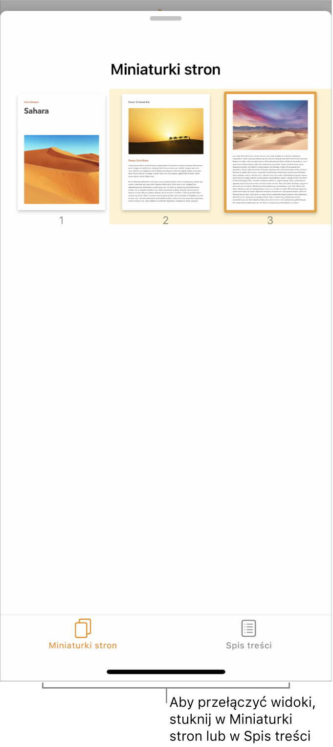 Widok miniaturek stron zawierający miniaturki każdej strony. Na dole ekranu widoczny jest przycisk Miniaturki stron oraz przycisk Spis treści.