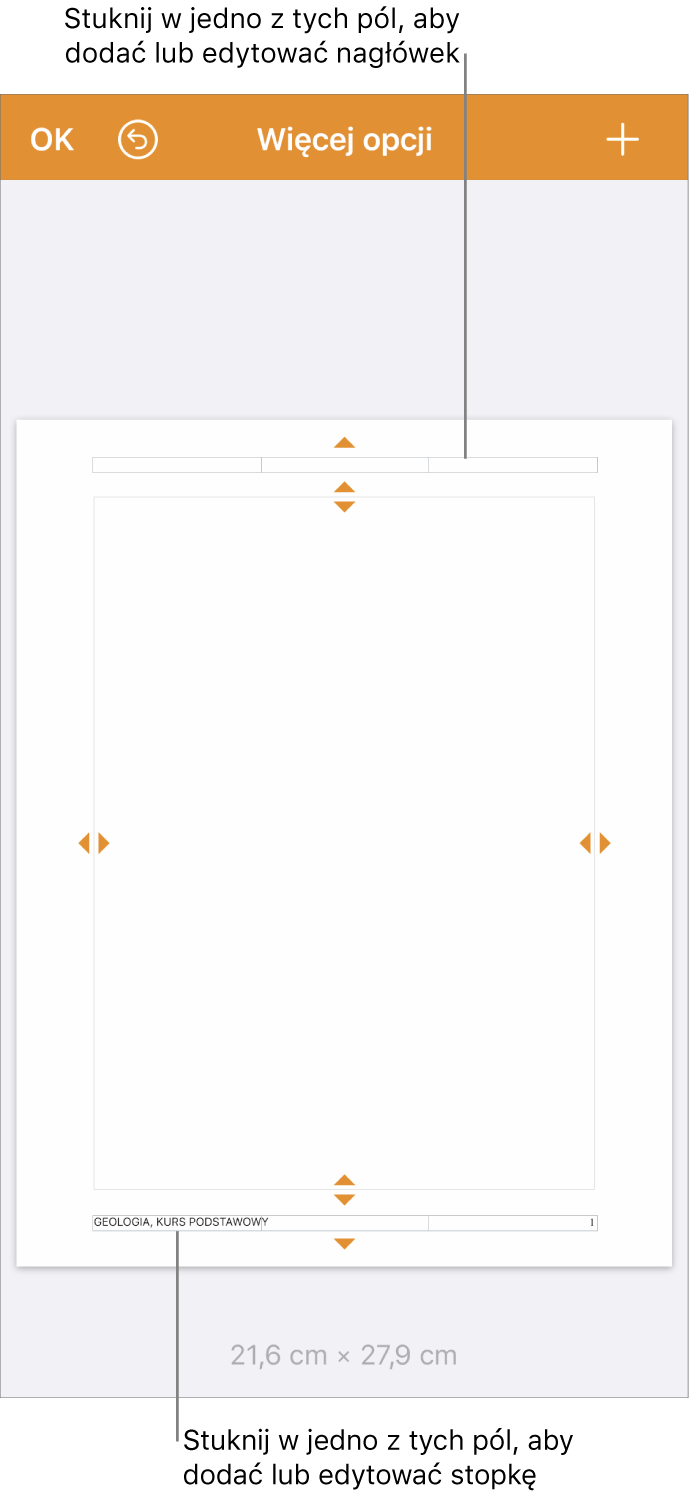 Widok Więcej opcji, zawierający trzy pola na górze dokumentu, przeznaczone na nagłówki, a także trzy pola na dole dokumentu, przeznaczone na stopki.