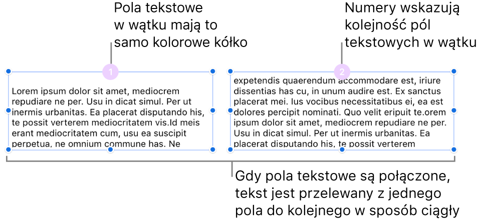 Dwa pola tekstowe z purpurowym kółkiem na górze oraz liczbą 1 i 2 w danym kółku.