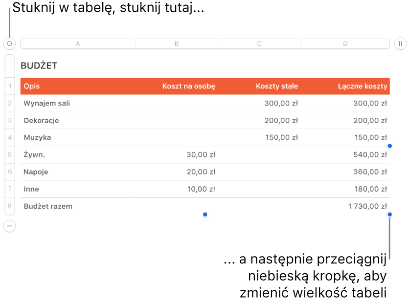 Zaznaczona tabela z niebieskimi kropkami pozwalającymi na zmienianie jej wielkości.
