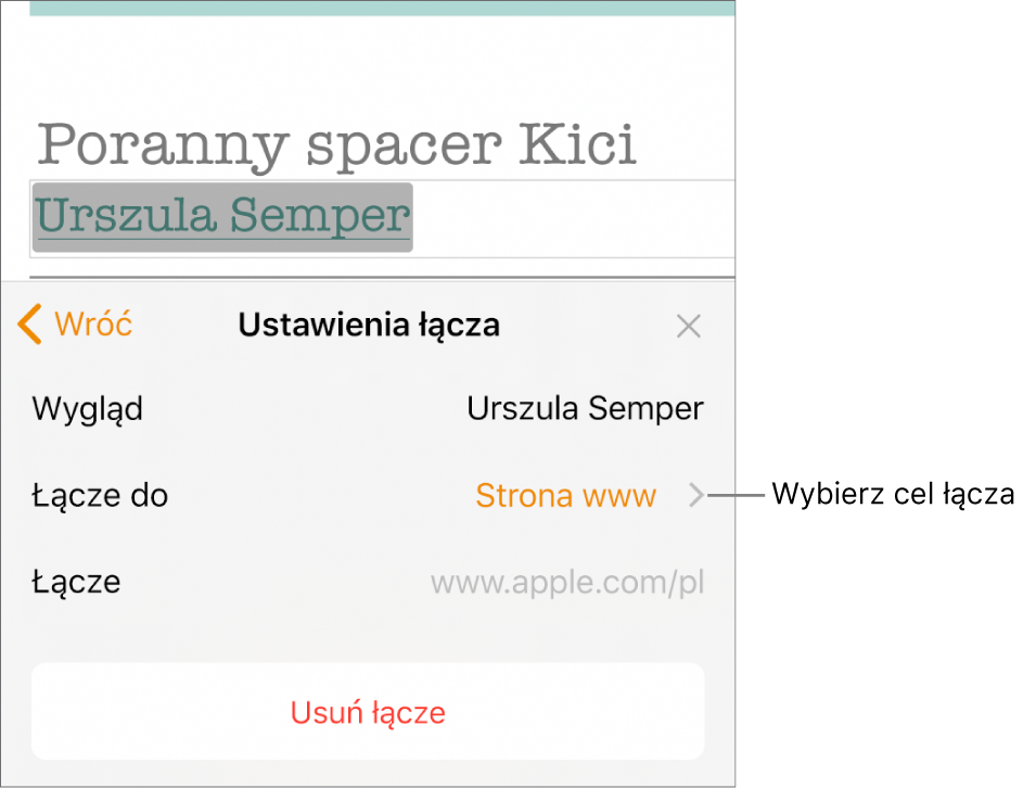 Narzędzia Ustawienia łącza, zawierające następujące pola: Wygląd, Łącze do (ustawione na Strona www) oraz Łącze. Na dole widoczny jest przycisk Usuń łącze.