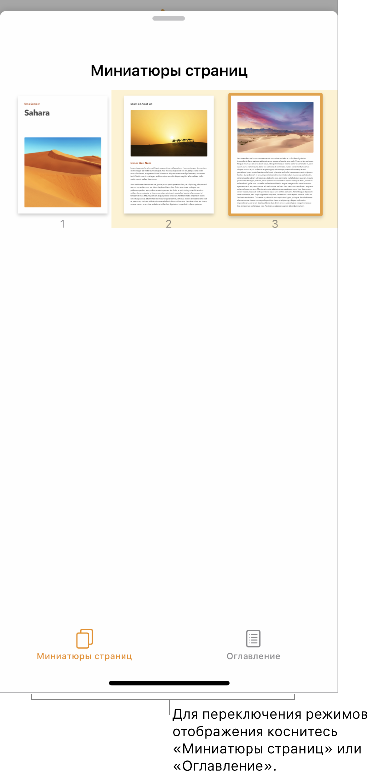 Панель «Миниатюры страниц» с миниатюрами каждой страницы. Кнопка «Миниатюры страниц» и кнопка «Оглавление» отображаются внизу экрана.