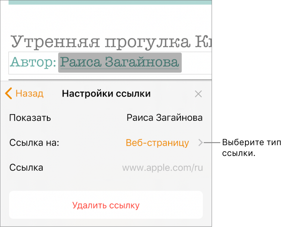 Элементы управления «Настройки ссылки» с полем «Показывать», параметром «Ссылка на» (выбран вариант «Веб-страницу») и полем «Ссылка». Внизу элементов управления находится кнопка «Удалить ссылку».