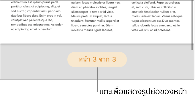 เอกสารที่เปิดอยู่โดยมีปุ่มเลขหน้าอยู่ตรงกลางด้านล่างสุดของหน้าจอ