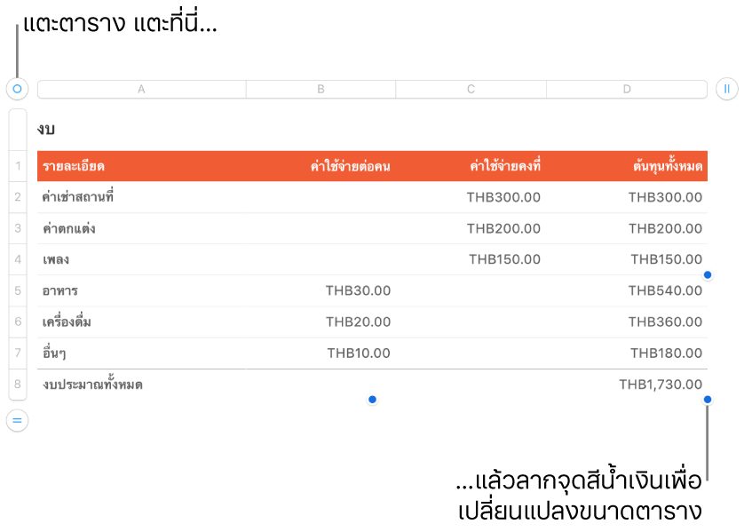 ตารางที่เลือกอยู่พร้อมจุดสีน้ำเงินสำหรับปรับขนาด