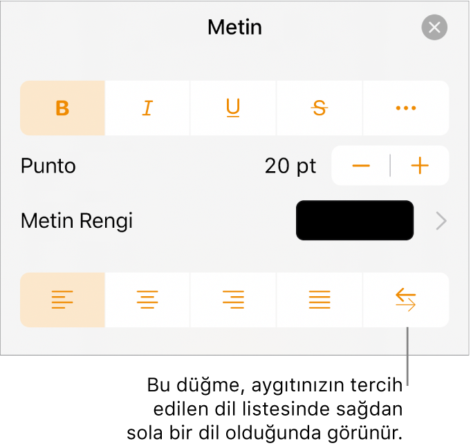 Sağdan Sola düğmesini gösteren bir belirtme çizgisi ile Biçim menüsündeki metin denetimleri.