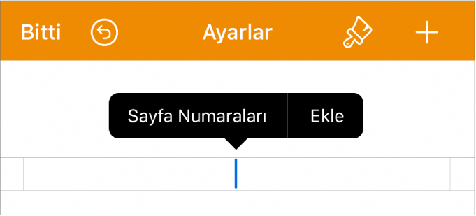 Başlık alanında ekleme noktası ile Belge Ayarları penceresi ve iki menü öğesini gösteren açılır menü: Sayfa Numaraları ve Ekle.