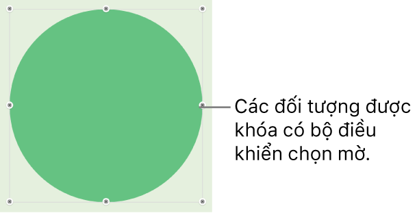 Một đối tượng bị khóa có các bộ điều khiển chọn bị làm mờ.