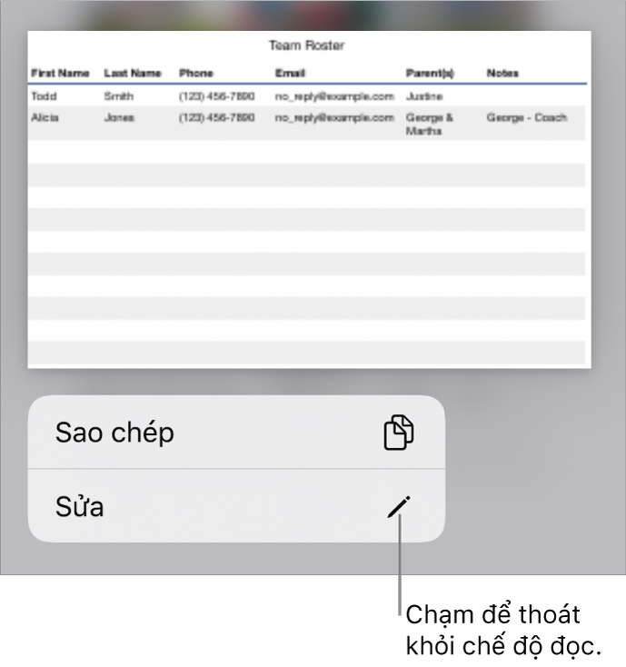 Một bảng được chọn và phía dưới bảng đó là menu với các nút Sao chép và Sửa.