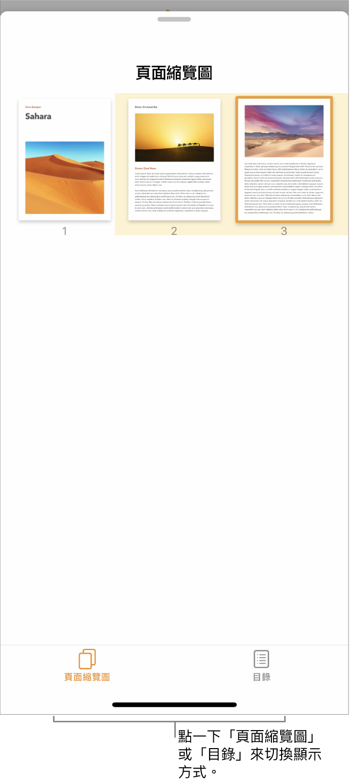 「頁面縮覽圖」顯示方式中包含每一頁的縮覽圖影像。「頁面縮覽圖」按鈕和「目錄」按鈕位於螢幕底部。