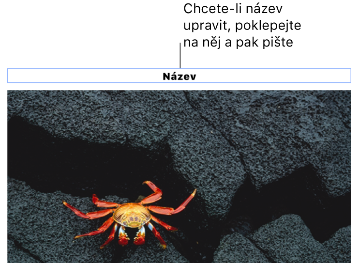 Pod fotkou se nachází maketa nadpisu s názvem „Nadpis“; pole nadpisu je zvýrazněné modrým obrysem