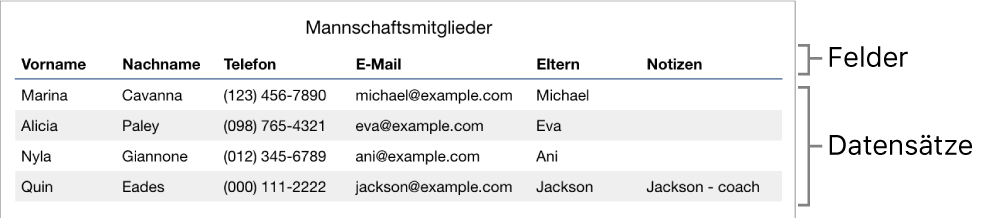 Richtig konfigurierte Tabelle für die Verwendung von Formularen mit einer Titelzeile. Die Titelzeile enthält Beschriftungen für Felder und eine Liste mit Datensätzen, die die Kontaktdaten der Mitglieder einer Sportgruppe zeigen.