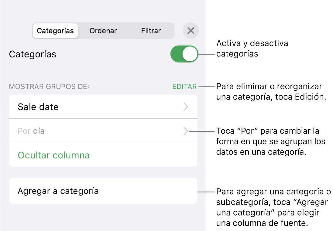 El menú Categorías del iPhone con opciones para desactivar las categorías, eliminar categorías, reagrupar datos, ocultar una columna origen y agregar categorías.