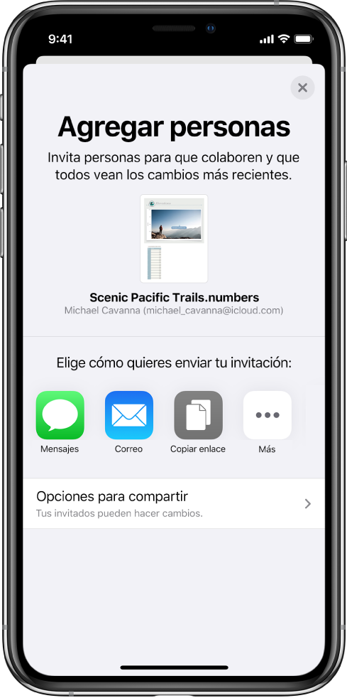 La pantalla “Agregar personas” mostrando una imagen de la hoja de cálculo que se va a compartir. Debajo hay botones con las maneras en que se puede enviar la invitación; incluyendo Mensajes, Correo, “Copiar enlace” y más. En la parte inferior se encuentra el botón “Opciones para compartir”.