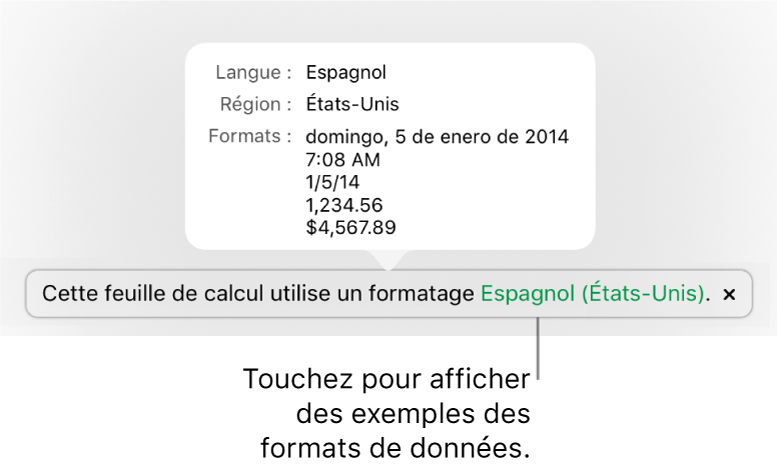 La notification du réglage de langue et de région différents, qui affiche des exemples de la mise en forme correspondant à cette langue et à cette région.