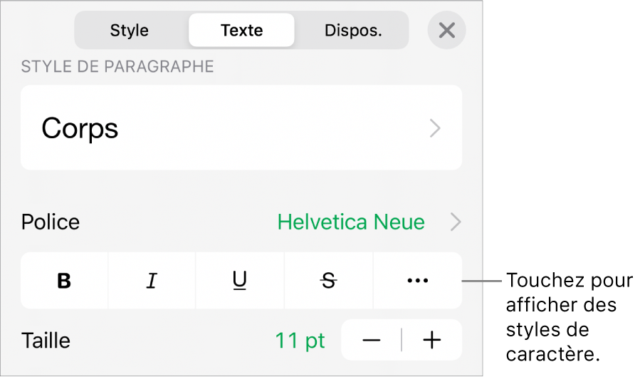 Les commandes de mise en forme avec les styles de paragraphe en haut, suivis des commandes de police. En dessous de Police se trouvent les boutons Gras, Italique, Souligné, Barré et « Plus d’options de texte ».